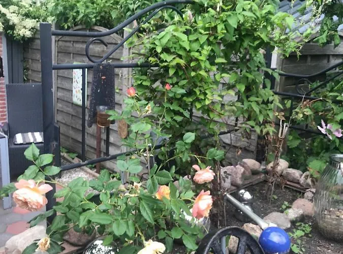 Monteurzimmer, Innenstadt Lage Alloggio in famiglia *